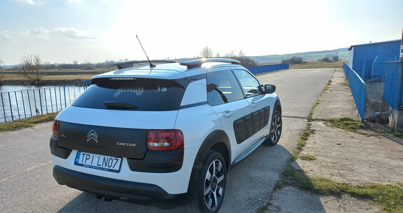 Citroen C4 Cactus cena 43000 przebieg: 45300, rok produkcji 2017 z Tuczno małe 254